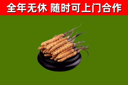 琼中县烟酒回收冬虫夏草.jpg